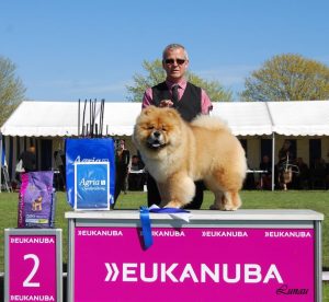 Chow Chow Piuk Chow A Paradise Of Happiness BIS2 hvalp Roskilde 2016