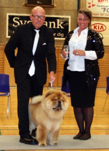 Chow Chow Ny dansk champion Piuk Chow Pirates Boy Of Phantasy Soerby 15