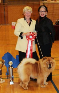 Chow Chow Stagebos Angel Of The Morning, Susanne Danielsen
