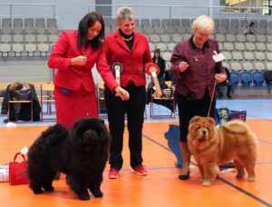 Chow Chow BIR Bon Triumph Number One Susanne Dammann BIM Bakkebos Royal Roxanna Susanne Danielsen Dommer Kathleen Ridding