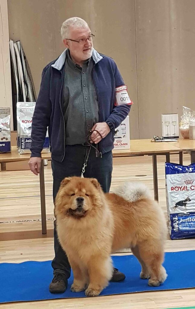 Chow Chow Miketilla Monte Carlo, Preben Krog, Bedste veteran Fredericia 2019