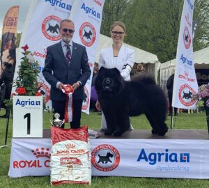 Chow Chow veteran Piuk Chow Possesses Black Passion Best In Show, Stine Hjelme og Svend Løvenkjær