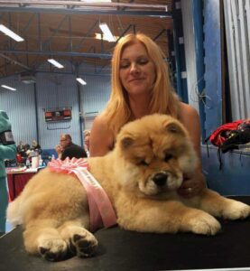 Chow Chow hvalp Sumichows This Is My Life