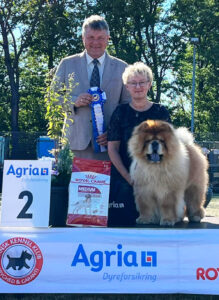 Chow Chow Kool Kashmir From Kwaitang BIG 2