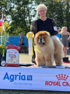 Chow Chow Kool Kashmir From Kwaitang BIG 3