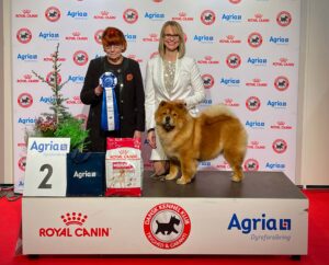 Chow Chow Bao-Fang's Hong-Se Yue-Liang Best In Show Veteran 2