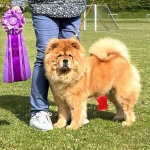 klubvinder nr 1 2023