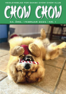 chow chow nr 2025